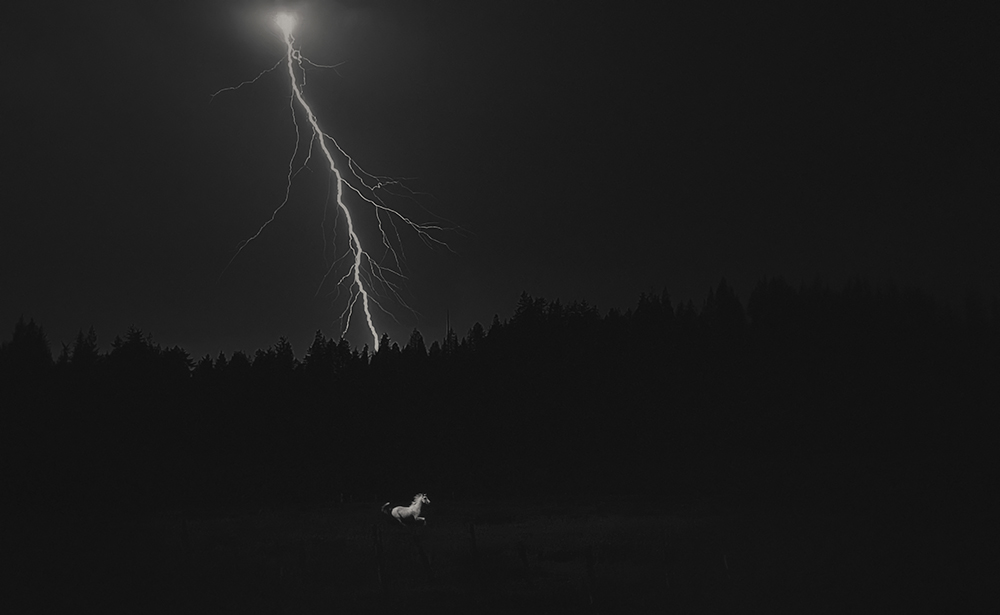 WHITE LIGHTNING artwork by Brian Plonka - art listed for sale on Artplode